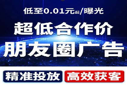 信息流广告的精准定位与效果优化案例分析